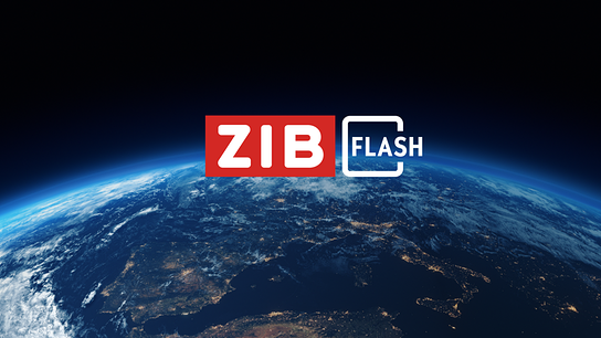 ZIB Flash - Logo