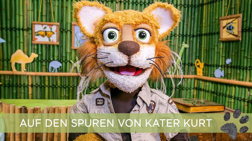 © ORF/Günther Pichlkostner Auf den Spuren von Kater Kurt