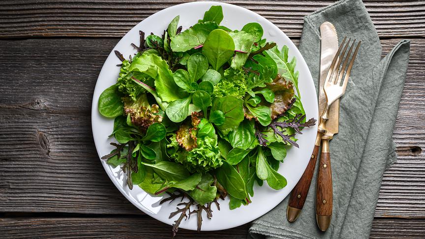 Ein Teller mit frischem Blattsalat steht auf einem rustikalen Holztisch.