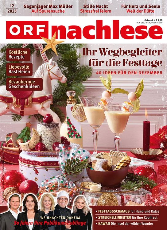 © Creative Market/Grace Noboa Festlich gestaltete Titelseite mit Weihnachtsleckereien, Getränken und Geschenkideen und dem Text „Ihr Wegbegleiter für die Festtage – 40 Ideen für dren Dezember“.