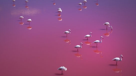 ORF nachlese August 2025: Naturwunder Europas