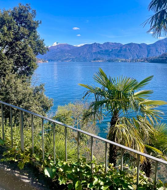 Eine sonnige oberitalienische Seelandschaft mit Palmen und Bergen vermittelt mediterranes Urlaubsflair.