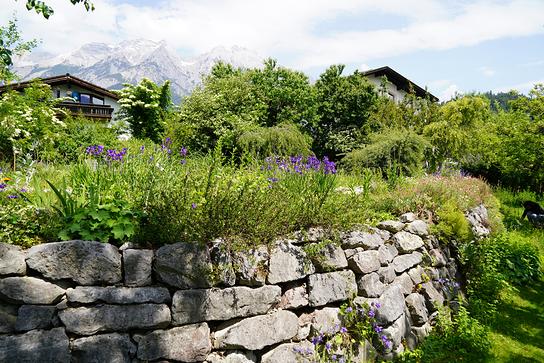 Ein üppig bepflanzter Garten mit Trockenmauer erstreckt sich vor alpiner Bergkulisse und angrenzenden Häusern.
