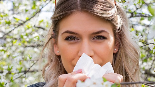 © iStock/Ocskaymark Eine Frau mit Taschentuch in der Hand blickt durch blühende weiße blühende Zweige in einer frühlingshaften Naturkulisse.