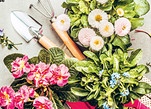 ORF nachlese edition: Ihr perfektes Gartenjahr