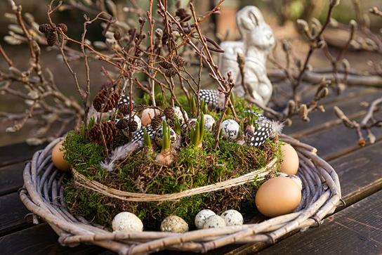 ORF nachlese März 2021: Die schönsten Blumentrends zum Osterfest