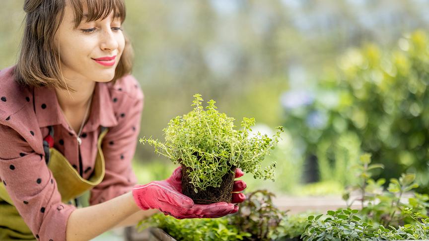 © 123RF/RH2010 Nachlese März 2024: Das große Garten-Spezial
