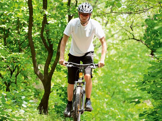 "ORF nachlese Juni 2016": Erholungsraum Wald