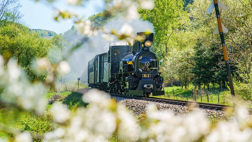 Mariazellerbahn unterwegs in naturbelassener Umgebung