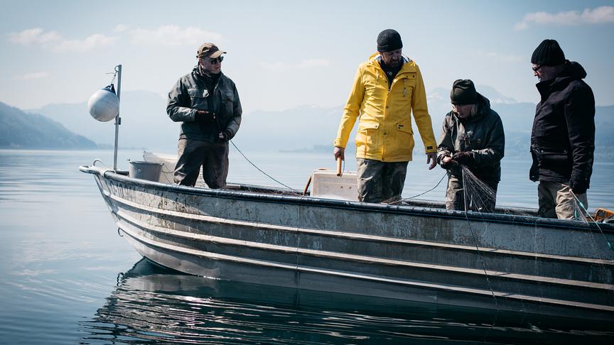 „DIE.NACHT“ Start für „Fisch ahoi! Das Meer braucht