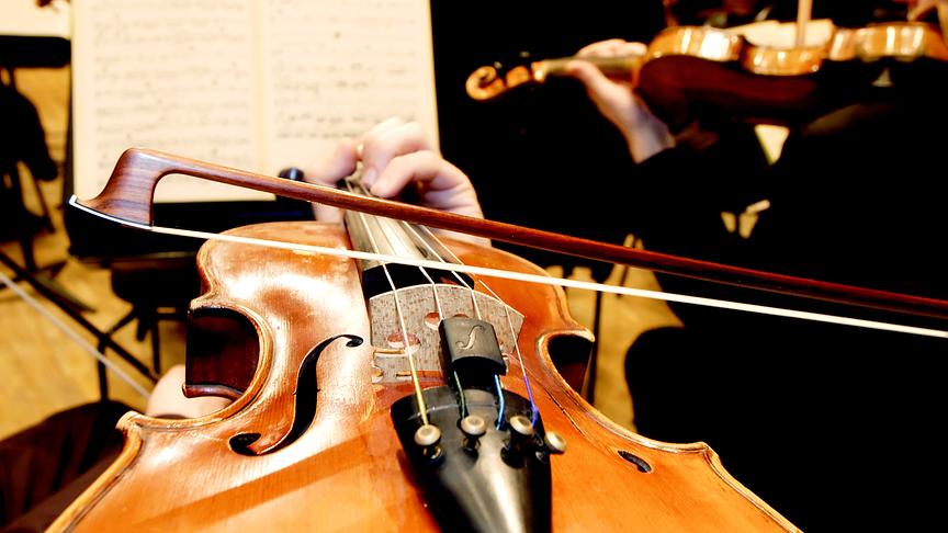 © ORF/Ali Schafler Radio Symphonieorchester Wien