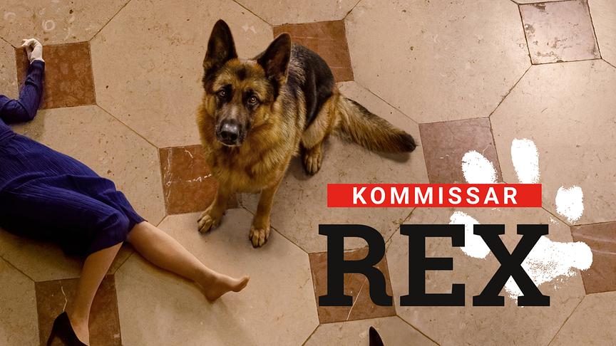 © ORF/SAT.1/Anjeza Cikopano „Kommissar Rex“ sitzt auf einem Steinboden neben einer am Boden liegenden Frau in blauem Kleid, dazu ist der Titel „Kommissar Rex“ eingeblendet.