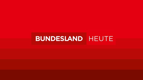 "Bundesland Heute": Logo, Signation