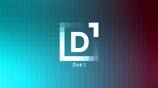 DOK 1- Logo