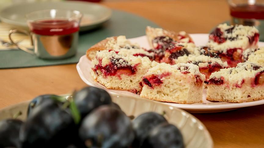 Mehrere Stücke vom Zwetschkenfleck mit Streuseln liegen auf einem Teller, im Vordergrund sind frische Zwetschken und im Hintergrund eine Tasse "heiße Zwetschke" zu sehen.