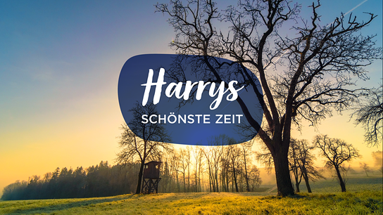 Harrys schönste Zeit - Logo, Signation