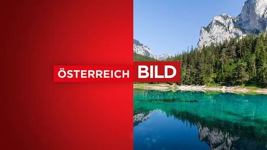 © ORF Das Logo von "Österreich Bild"