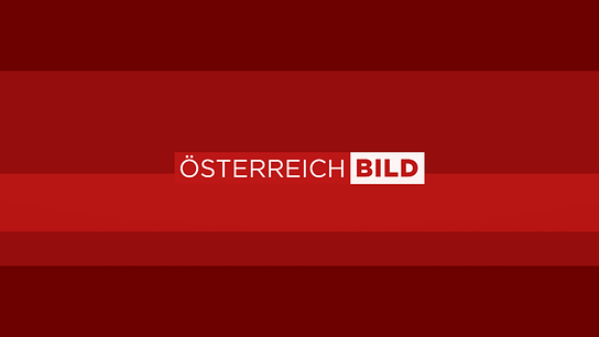 Das Logo von "Österreich Bild"